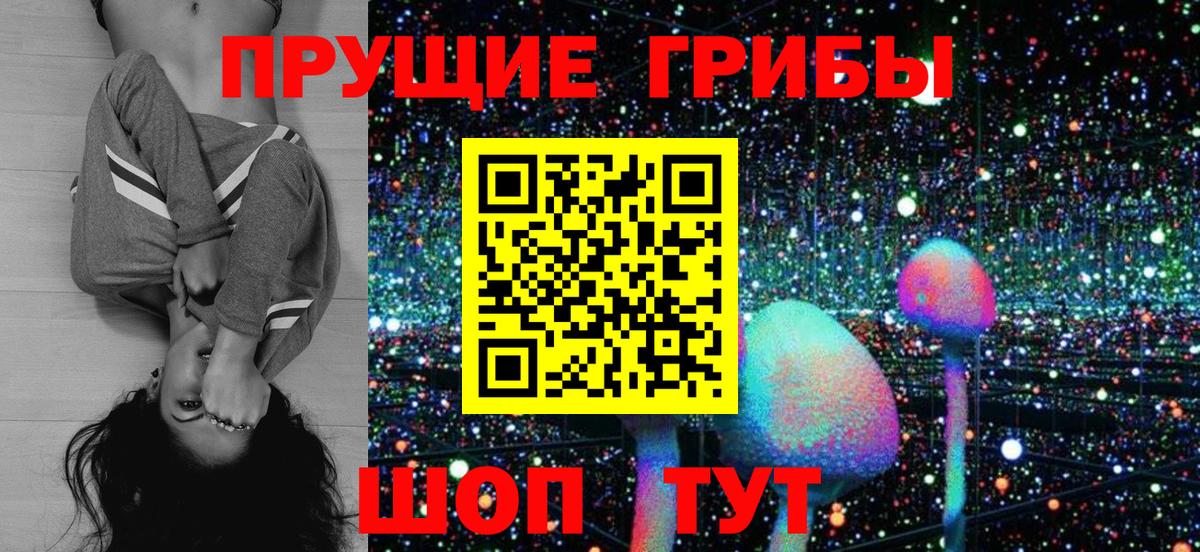 Галлюциногенные грибы Psilocybine cubensis Белорецк