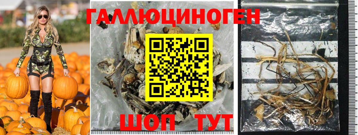 Псилоцибиновые грибы прущие грибы  Галлюциногенные грибы Psilocybine cubensis  хочу   Белорецк 